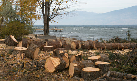 Flooding fallout