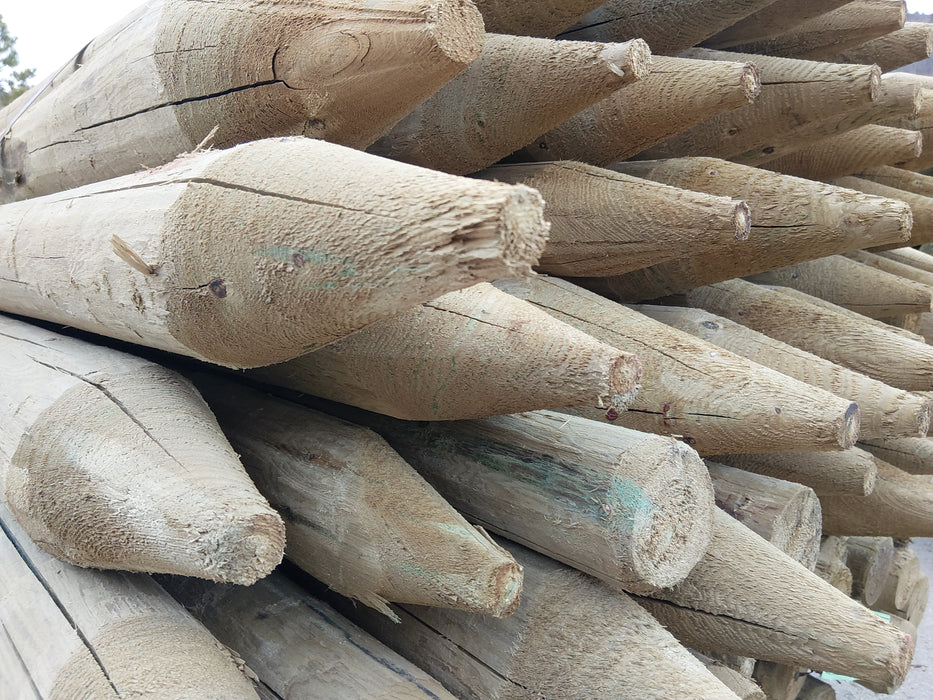 Treat Post 3"-4" 12ft long