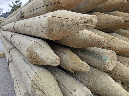 Treated Post 4"-5" 9ft long